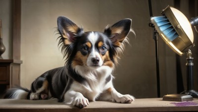 HQ,solo,looking at viewer,indoors,no humans,animal,table,cat,dog,realistic,lamp,animal focus,brown eyes,full body,signature,watermark,web address