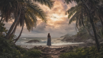 1girl, solo, long hair, black hair, dress, standing, outdoors, sky, cloud, water, from behind, tree, ocean, beach, cloudy sky, nature, scenery, palm tree, facing away