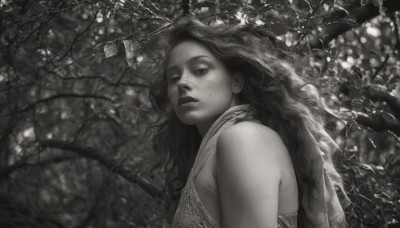 1girl,solo,long hair,looking at viewer,bare shoulders,closed mouth,monochrome,upper body,greyscale,outdoors,sleeveless,from side,tree,lips,wavy hair,nature,freckles,realistic,nose,branch,dress,blurry,leaf,veil,forest