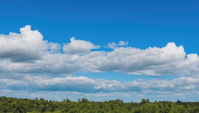 outdoors,sky,day,cloud,tree,blue sky,no humans,cloudy sky,grass,nature,scenery,forest,signature