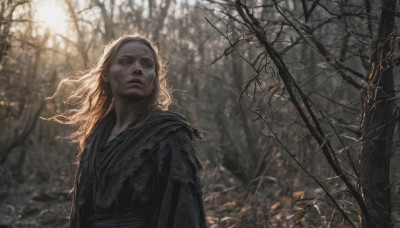 1girl,solo,long hair,blue eyes,blonde hair,upper body,white hair,outdoors,blurry,tree,blurry background,looking up,nature,forest,realistic,bare tree,parted lips,lips,scar,sunlight,wind,snow