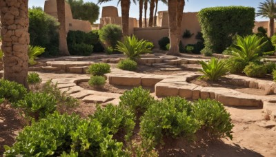 outdoors,sky,day,tree,blue sky,no humans,shadow,grass,plant,building,nature,scenery,road,bush,ruins,pillar,path,cloud,rock,sand,palm tree,overgrown