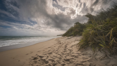 outdoors, sky, day, cloud, dutch angle, no humans, ocean, beach, sunlight, cloudy sky, plant, scenery, sand, horizon, shore