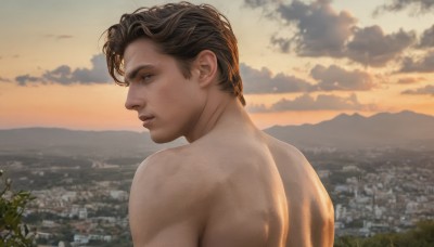 solo,looking at viewer,short hair,brown hair,black hair,1boy,brown eyes,upper body,male focus,nude,outdoors,sky,looking back,cloud,from behind,profile,muscular,back,cloudy sky,plant,freckles,topless male,sunset,city,realistic,cityscape,closed mouth