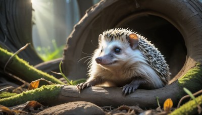 HQ,solo,looking at viewer,blue eyes,closed mouth,flower,outdoors,day,blurry,no humans,depth of field,animal,sunlight,grass,plant,scenery,claws,lens flare,light rays,rock,realistic,ruins,animal focus,whiskers,moss,signature,blurry background,nature,vines,overgrown