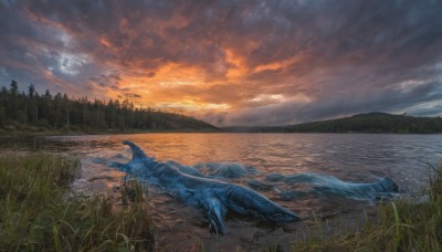 outdoors,sky,cloud,water,tree,no humans,ocean,animal,cloudy sky,grass,nature,scenery,forest,fish,sunset,mountain,river,landscape,lake