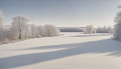 HQ,outdoors,sky,day,cloud,tree,blue sky,no humans,shadow,nature,scenery,snow,forest,road,winter,bare tree,monochrome,sand,landscape,fog