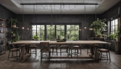 day,indoors,tree,cup,no humans,window,chair,table,sunlight,bottle,plant,scenery,wooden floor,potted plant,lamp,stool,shelf,ceiling,ceiling light,cabinet,wooden chair