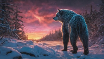 outdoors,sky,cloud,tree,no humans,night,animal,building,star (sky),nature,night sky,scenery,snow,forest,starry sky,sunset,snowing,winter,bare tree,wolf,twilight,bear,pine tree