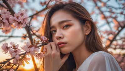 1girl, solo, long hair, looking at viewer, brown hair, shirt, brown eyes, white shirt, flower, outdoors, blurry, tree, lips, depth of field, blurry background, cherry blossoms, portrait, realistic, nose, branch