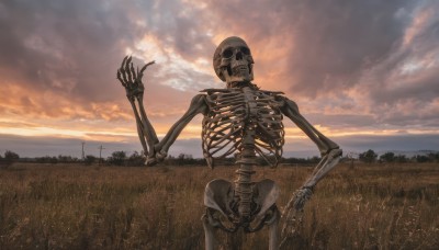 solo,standing,outdoors,sky,cloud,no humans,cloudy sky,grass,scenery,1other,skull,sunset,field,ribs,skeleton,bone,horror (theme)