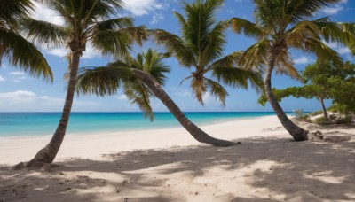 outdoors,sky,day,cloud,water,tree,blue sky,no humans,shadow,ocean,beach,sunlight,scenery,sand,palm tree,horizon,shade,summer,shore,cloudy sky,rock,realistic