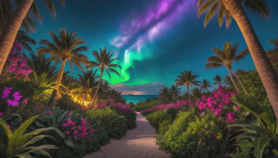 flower, outdoors, sky, cloud, tree, no humans, night, ocean, beach, grass, plant, star (sky), night sky, scenery, starry sky, palm tree, horizon