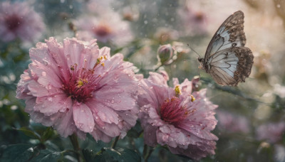 dress, flower, wings, blurry, no humans, depth of field, blurry background, animal, bug, butterfly, pink flower