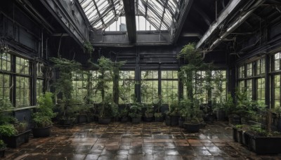 day,indoors,tree,no humans,window,chair,sunlight,plant,scenery,tiles,potted plant,tile floor,ruins,pillar,ceiling,moss,overgrown,wooden floor,vines