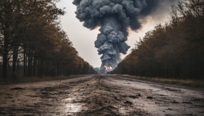 1girl,solo,outdoors,sky,cloud,tree,no humans,nature,scenery,forest,smoke,monster,fog,cloudy sky,grass,fire,burning