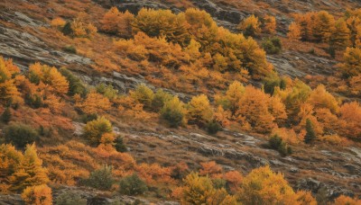 outdoors,day,water,tree,no humans,leaf,traditional media,nature,scenery,forest,painting (medium),autumn leaves,river,autumn,orange theme,artist name,from above,landscape