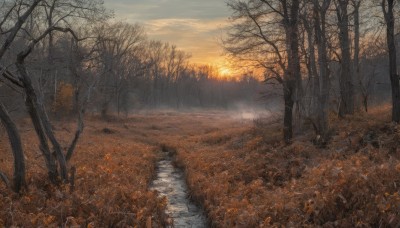 outdoors,sky,cloud,tree,no humans,leaf,sunlight,cloudy sky,grass,nature,scenery,forest,sunset,road,autumn leaves,bare tree,autumn,landscape,path,water,sun,river,puddle,orange sky