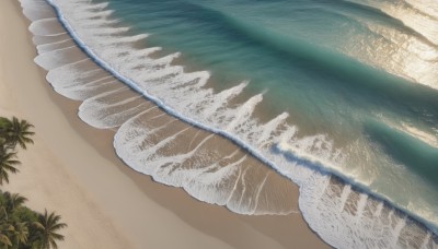 outdoors,day,water,tree,no humans,ocean,from above,beach,scenery,sand,palm tree,waves,shore,sky,dutch angle,shadow,sunlight,plant,nature,realistic,shell