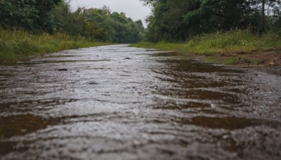 outdoors,sky,day,blurry,tree,no humans,grass,nature,scenery,forest,road,photo background,path,cloud,water,realistic,puddle