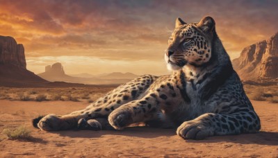 outdoors,lying,sky,cloud,no humans,animal,cloudy sky,scenery,sunset,mountain,realistic,animal focus,sand,desert