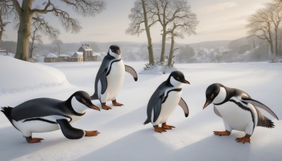 standing,outdoors,day,tree,no humans,bird,animal,scenery,snow,mountain,animal focus,winter,bare tree,penguin,flock,sky,cloud,from side,building,walking,house