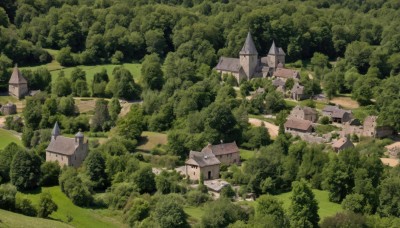 outdoors,day,tree,no humans,grass,building,nature,scenery,forest,bush,house,green theme,castle,landscape,path