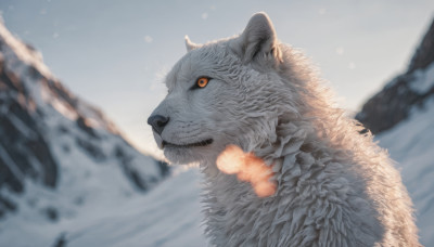 solo, outdoors, sky, day, blurry, orange eyes, no humans, depth of field, blurry background, animal, snow, mountain, realistic, animal focus, winter