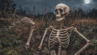 solo,flower,outdoors,sky,blurry,tree,no humans,night,bird,moon,grass,nature,night sky,scenery,full moon,forest,skull,ribs,skeleton,bone,cloud,plant,star (sky),starry sky