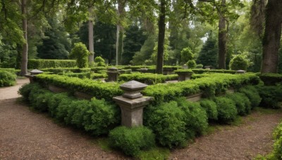 outdoors,day,tree,no humans,sunlight,grass,plant,nature,scenery,forest,road,bush,path,moss,stone lantern