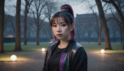 1girl,solo,looking at viewer,bangs,brown hair,shirt,black hair,brown eyes,closed mouth,jacket,upper body,ponytail,pink hair,multicolored hair,outdoors,open clothes,day,blurry,black eyes,two-tone hair,open jacket,tree,lips,black jacket,black shirt,depth of field,blurry background,high ponytail,realistic,nose,leather,leather jacket,long hair,breasts,short hair,grass,freckles,hair tie,road