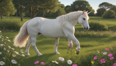 solo,standing,flower,outdoors,sky,day,tree,no humans,animal,grass,white flower,nature,scenery,pink flower,forest,realistic,field,animal focus,horse,unicorn,full body,signature,from side,blue sky,bush,daisy