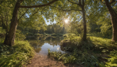 outdoors, sky, day, water, tree, blue sky, no humans, sunlight, grass, plant, nature, scenery, forest, light rays, rock