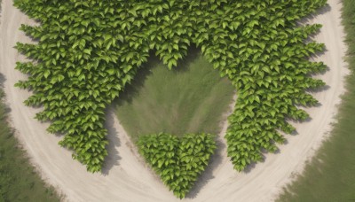 outdoors,day,tree,no humans,shadow,leaf,from above,traditional media,grass,plant,nature,scenery,road,bush,green theme,path