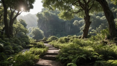 outdoors,sky,day,tree,no humans,sunlight,grass,plant,nature,scenery,forest,light rays,stairs,road,bush,sunbeam,landscape,path,cloud,rock