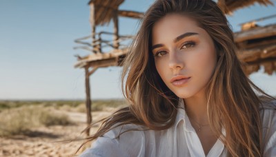 1girl,solo,long hair,looking at viewer,smile,brown hair,shirt,brown eyes,jewelry,white shirt,upper body,outdoors,parted lips,sky,day,collared shirt,necklace,blurry,blue sky,lips,depth of field,blurry background,portrait,realistic,nose,desert,thick eyebrows,freckles,photo background