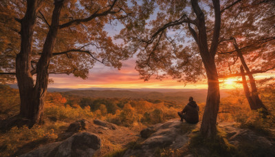 solo, 1boy, sitting, outdoors, sky, cloud, from behind, tree, grass, nature, scenery, sunset, rock, landscape