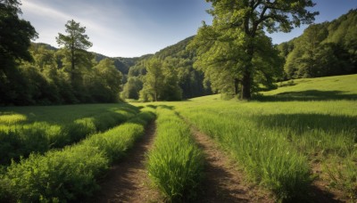 outdoors,sky,day,cloud,tree,blue sky,no humans,grass,plant,nature,scenery,forest,mountain,road,bush,field,landscape,path,hill,cloudy sky