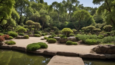 outdoors,sky,day,cloud,water,tree,blue sky,no humans,grass,nature,scenery,forest,rock,road,bush,river,path,plant,reflection,lake,moss,pond