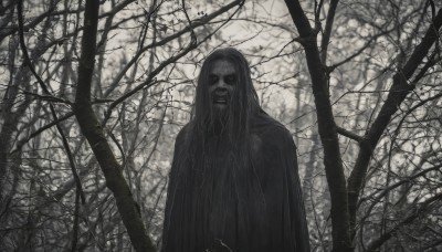 solo,long hair,looking at viewer,red eyes,1boy,monochrome,upper body,greyscale,male focus,outdoors,signature,hood,tree,facial hair,nature,cloak,beard,forest,bare tree,grey hair,colored skin,colored sclera,grey skin,horror (theme)