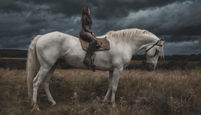 solo,1boy,male focus,boots,outdoors,sky,cloud,armor,animal,helmet,cloudy sky,grass,1other,riding,field,horse,grey sky,horseback riding,reins,saddle,1girl,long hair,brown hair,black hair,sitting,pants,black footwear,from side,black pants,scenery,realistic,overcast