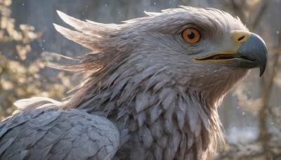 solo,closed mouth,outdoors,wings,blurry,tree,orange eyes,pokemon (creature),no humans,depth of field,blurry background,bird,animal,feathers,snow,snowing,animal focus,beak,looking at viewer,upper body,day,from side,light particles,realistic