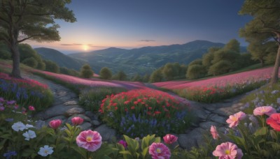 flower,outdoors,sky,cloud,tree,blue sky,no humans,grass,plant,red flower,nature,scenery,pink flower,forest,blue flower,sunset,mountain,purple flower,sun,road,bush,field,flower field,landscape,mountainous horizon,gradient sky,path,sunrise,night,sunlight,star (sky),horizon,twilight