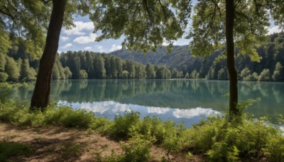 outdoors,sky,day,cloud,water,tree,blue sky,no humans,cloudy sky,grass,nature,scenery,forest,reflection,mountain,bush,river,landscape,lake,sunlight,plant,waterfall,reflective water