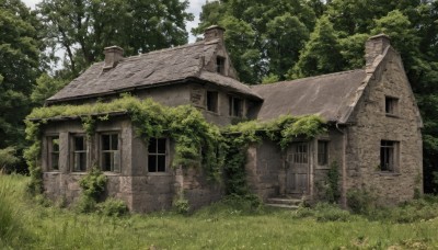 outdoors,sky,day,tree,no humans,window,grass,plant,building,nature,scenery,forest,door,bush,ruins,house,moss,overgrown,blue sky