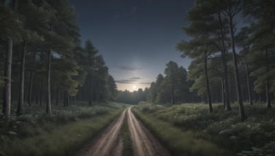 outdoors,sky,cloud,tree,no humans,night,grass,plant,star (sky),nature,night sky,scenery,forest,starry sky,sunset,mountain,sun,road,bush,landscape,path,sunrise,cloudy sky,twilight