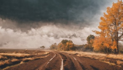 outdoors,sky,day,cloud,tree,no humans,cloudy sky,grass,star (sky),nature,scenery,forest,road,landscape,path,signature,ground vehicle,starry sky,mountain,sand,desert