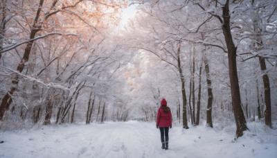 1girl, solo, standing, outdoors, pants, hood, from behind, tree, coat, black pants, nature, scenery, snow, forest, wide shot, winter, bare tree, footprints