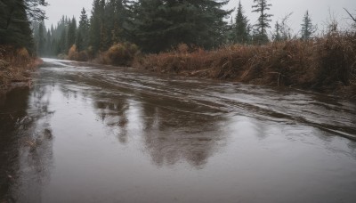 outdoors,sky,day,water,tree,no humans,nature,scenery,snow,forest,reflection,mountain,bare tree,river,landscape,lake,fog,grey sky,cloud,bird,pine tree