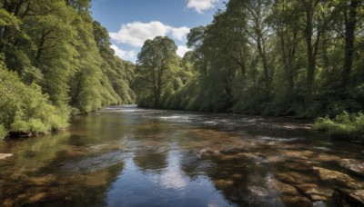 outdoors,sky,day,cloud,water,tree,blue sky,no humans,cloudy sky,grass,nature,scenery,forest,reflection,road,bush,river,reflective water,landscape,lake